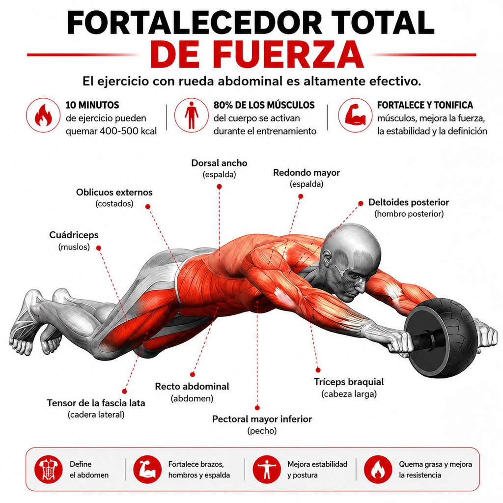 RUEDA ABDOMINAL PROFESIONAL DE ALTA RESISTENCIA